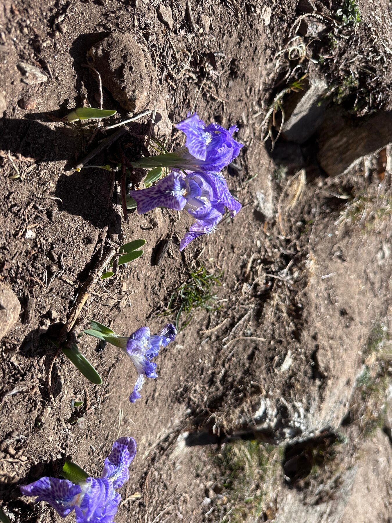 Everest Base Camp trek — photo 9