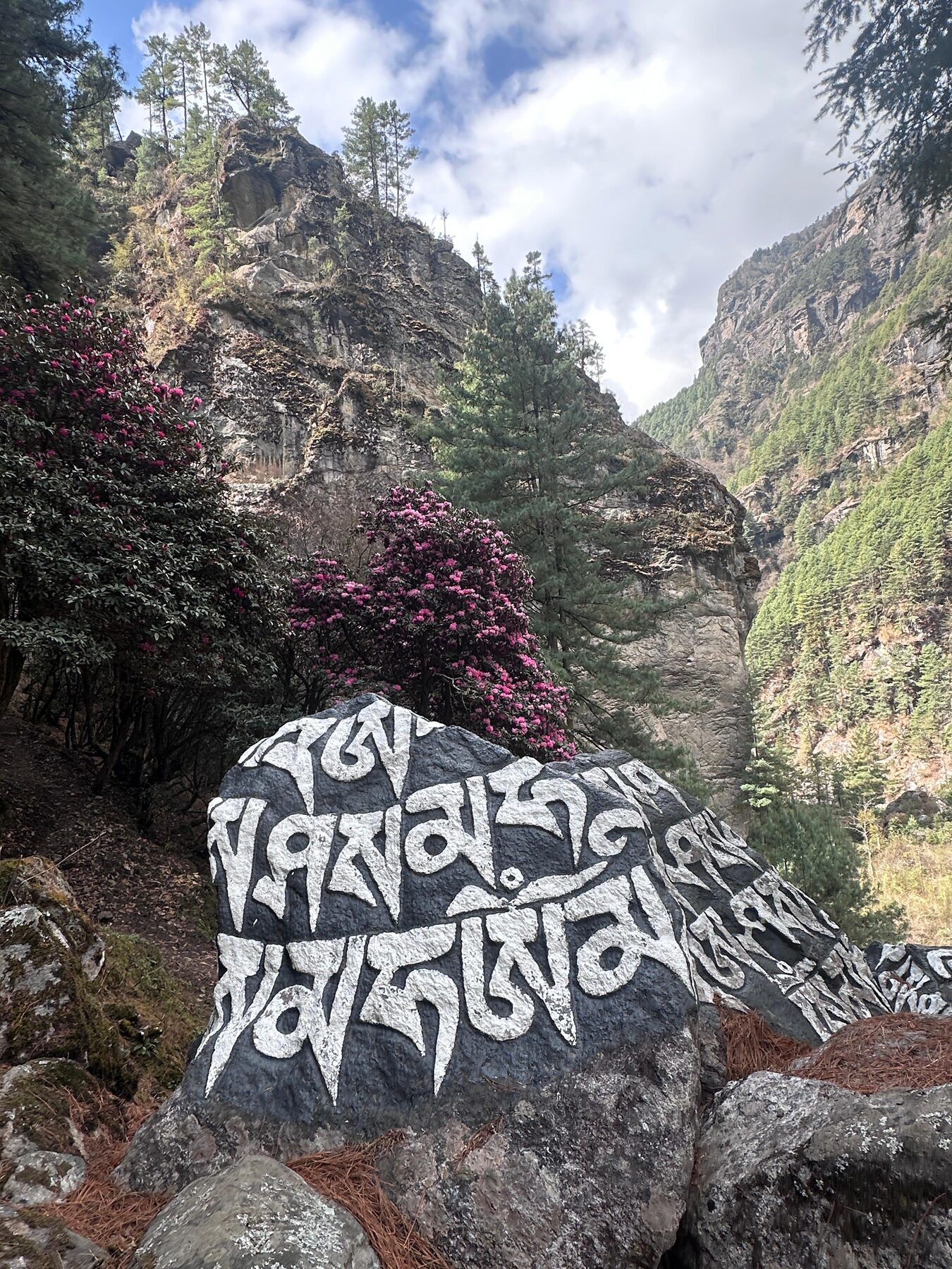 Everest Base Camp trek — photo 10