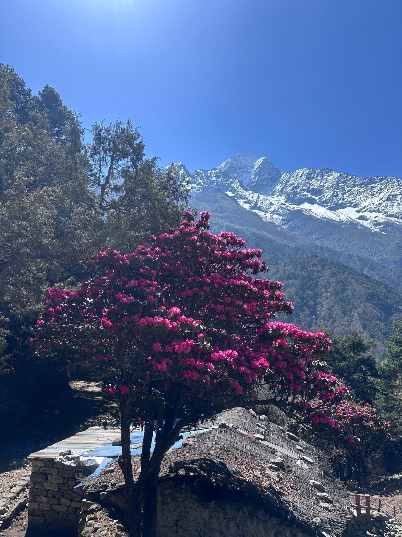Everest Base Camp trek — photo 33