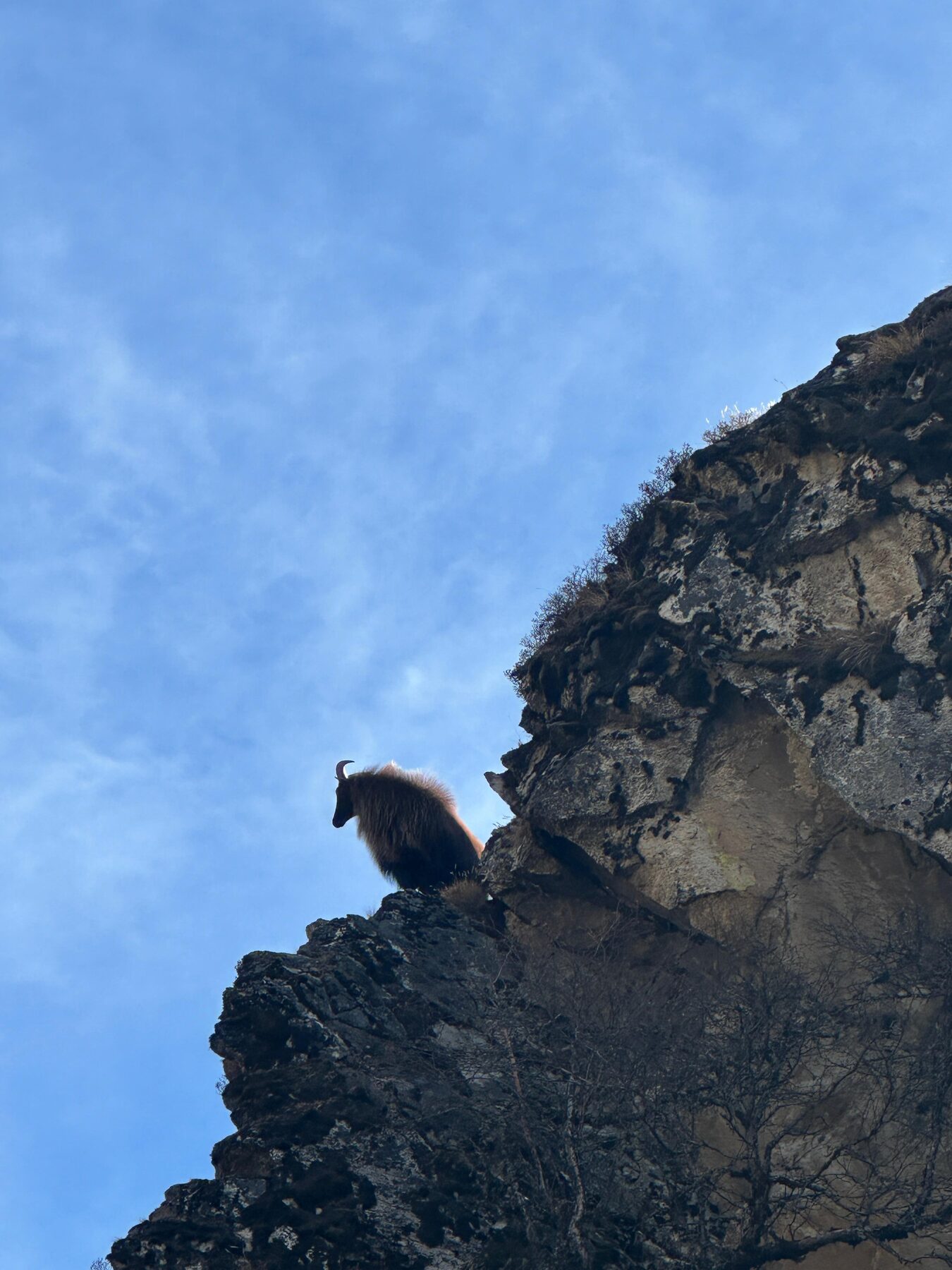 Everest Base Camp trek — photo 51