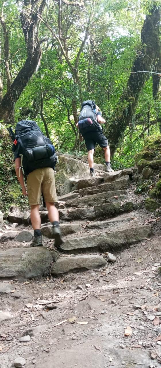 Stone steps to Ulleri through the rhododendron forest